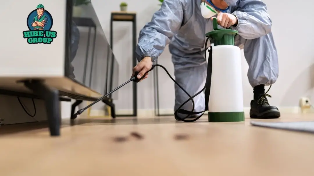 Do You Need Pest Control When Moving Out Heres What Melbourne Tenants Should Know 1