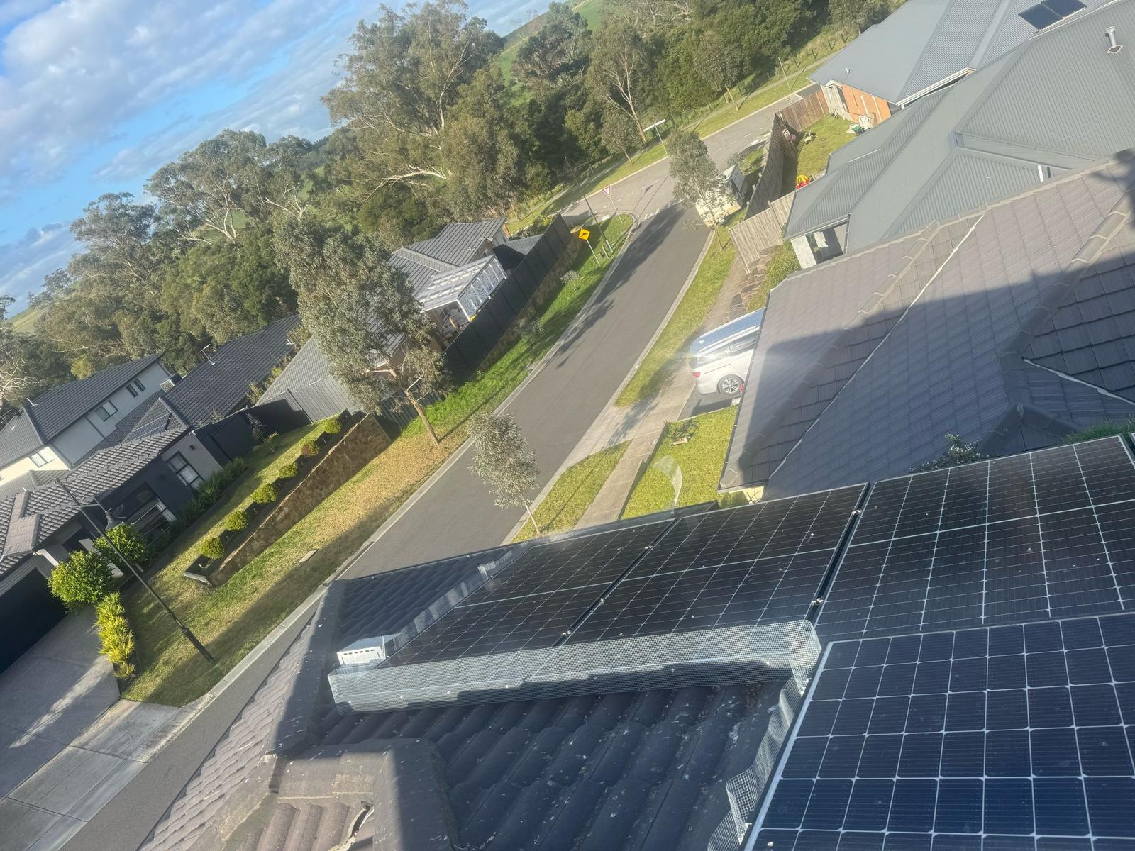 Solar Panel Bird Proofing