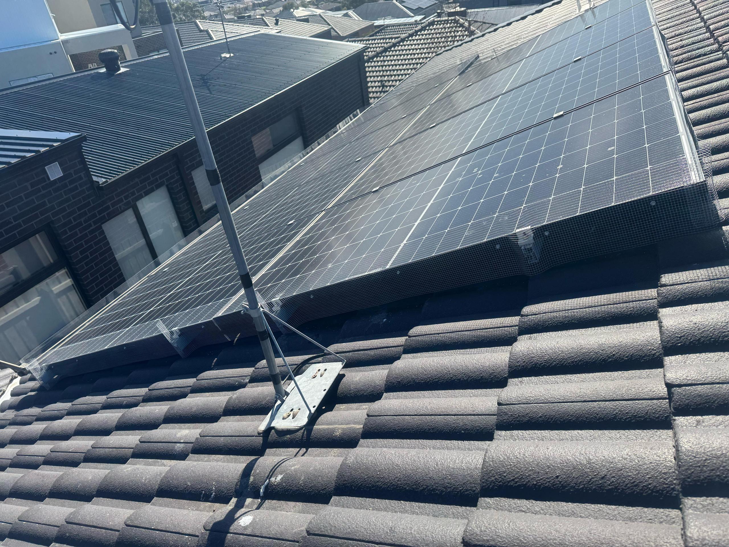 Solar Pigeon Proofing