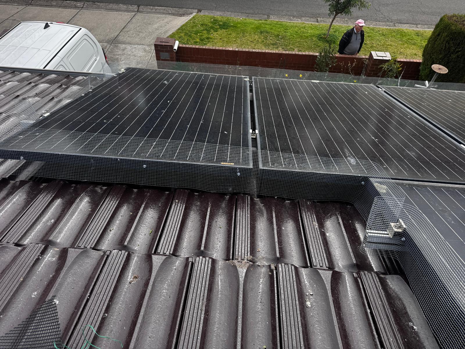 Solar Panel Bird Proofing