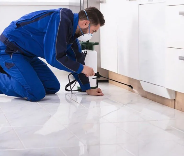Pest Control Dandenong