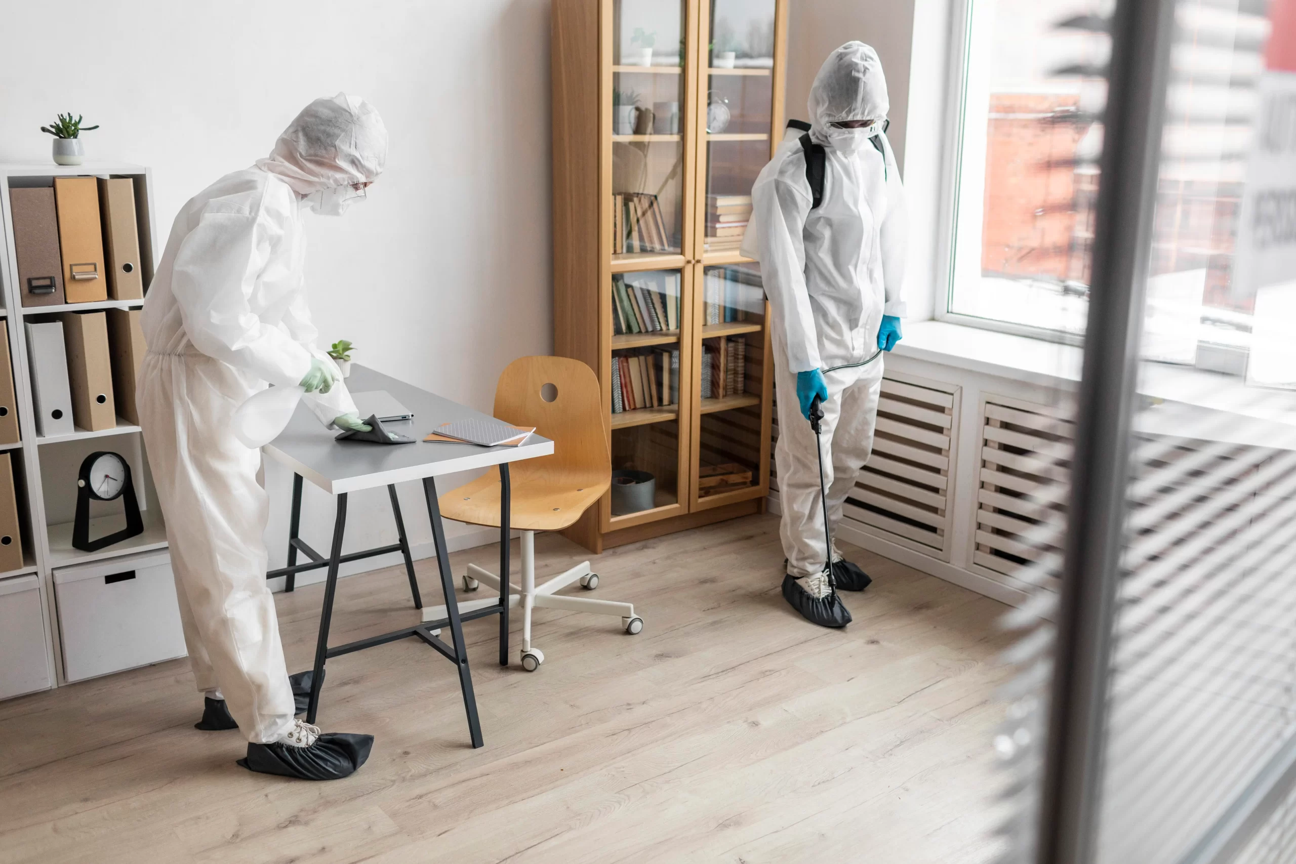 Move in Pest Control 