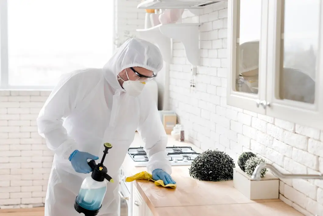 Pest Control Indoor