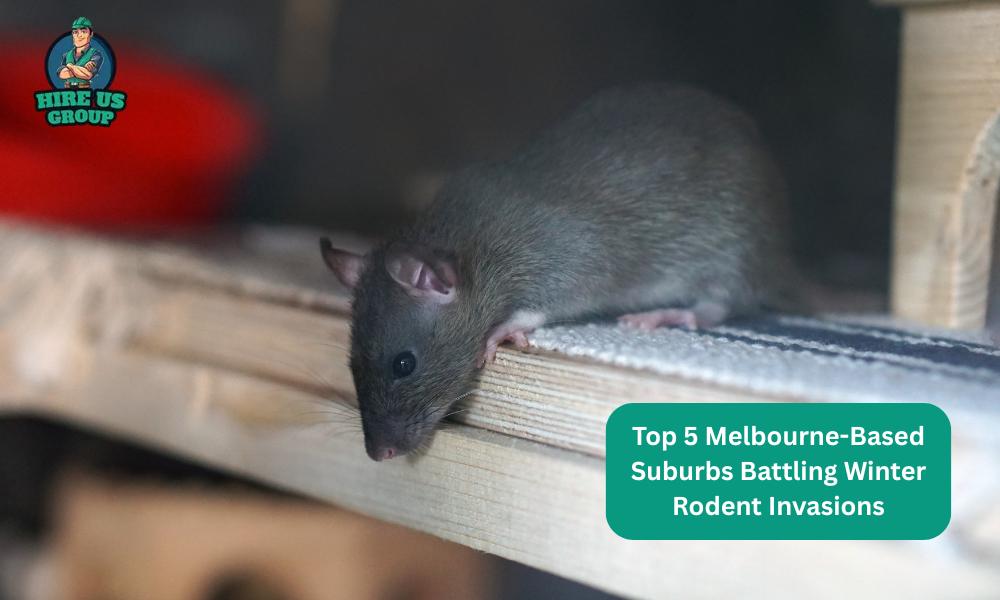 Top 5 Melbourne-Based Suburbs Battling Winter Rodent Invasions