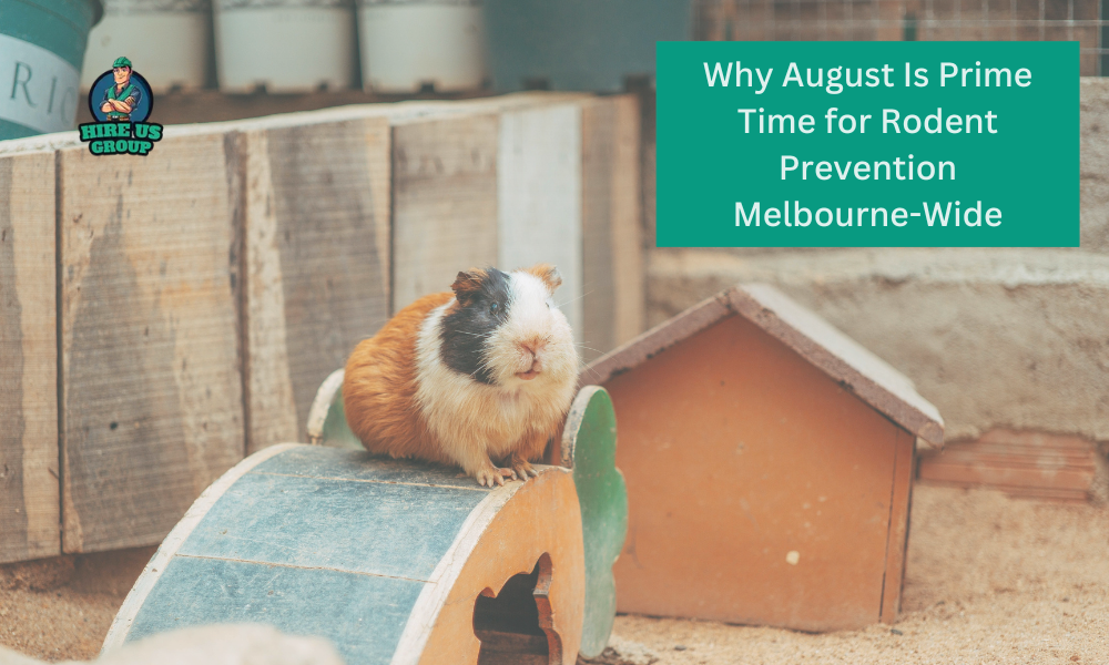 Why August Is Prime Time for Rodent Prevention Melbourne-Wide